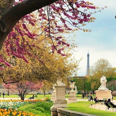Exclusive Walking Tour of Central Paris With Local Guide 2