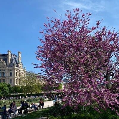 Exclusive Walking Tour of Central Paris With Local Guide 4