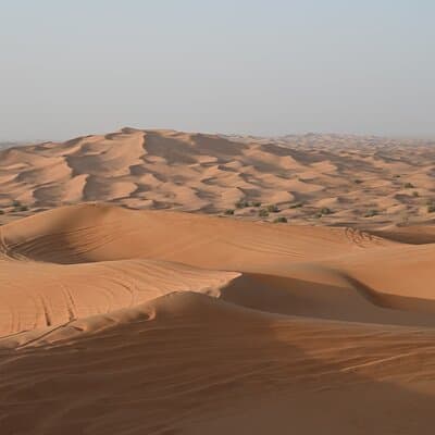 Dubai Desert Safari, Camel Ride, Entertainment Shows & BBQ Dinner 4