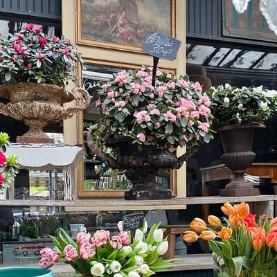 Paris: Ile De La Cité Walking Tour: Discover Paris' Birthplace 3