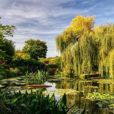 Giverny Private Tour: Monet's House & Garden 3