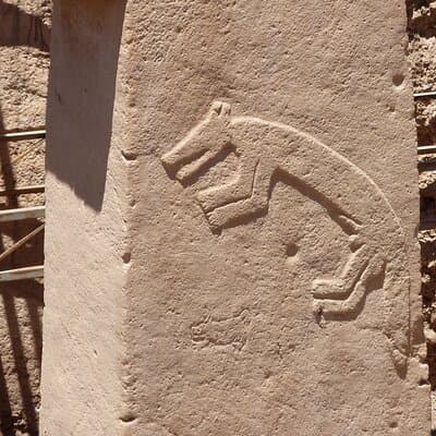 World's First Temple: Private Gobeklitepe Tour from Istanbul 5