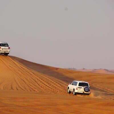 Dubai Morning Desert Safari 5