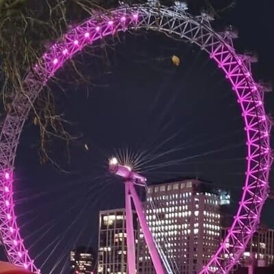 London Christmas Lights Private Guided Taxi Tour 3