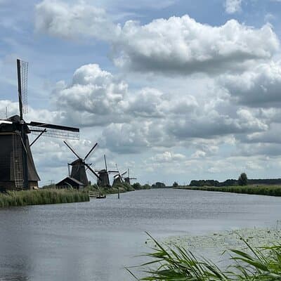 Kinderdijk Windmills, Delft City & Delft Blue Factory Visit 4