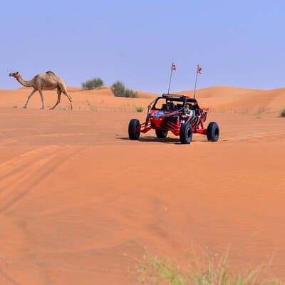 Dune Buggy Ride with Private BBQ Dinner in the Desert 5