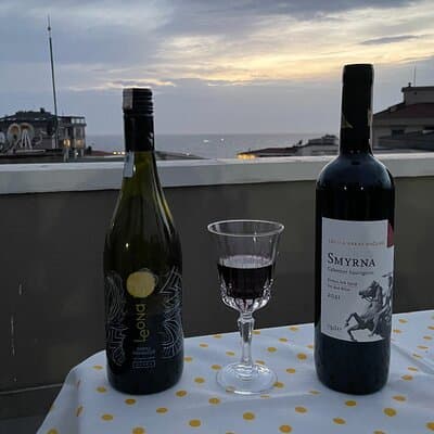 Istanbul Wine Tasting at Home with Local Family 2