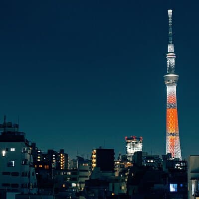 Tokyo Full-Day Private Tour (Customizable) 4