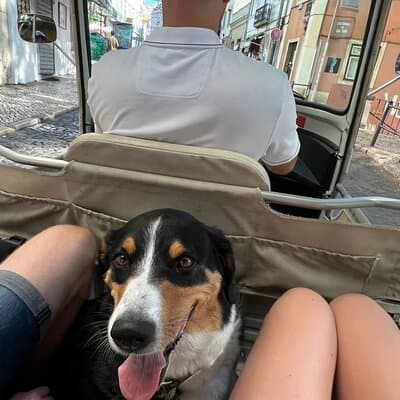 Tuk-Tuk Lisbon Tour 1 - 3hours 4