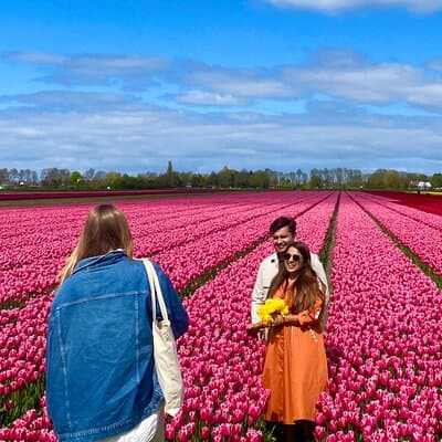 Discover Holland’s Beautiful Tulip Fields with an Expert Guide