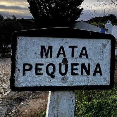 Visit to Queluz Palace and Mafra Convent - Private Tour 5