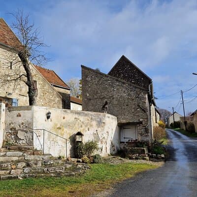 Private Tour to Belleau Wood The Devil Dogs & their Epic Battle 4
