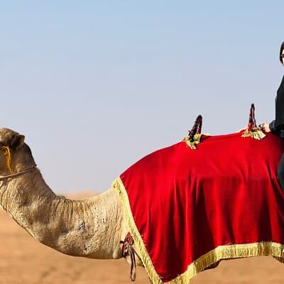 Dubai: Morning Quad bike & Safari Adventure , Sandboarding, camel 3