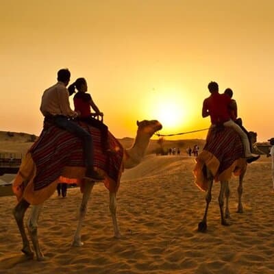 Premium Desert Safari: BBQ, Quad Bike & Sandboarding 4