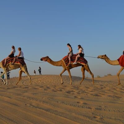 Desert Safari Dubai Experience with Dinner