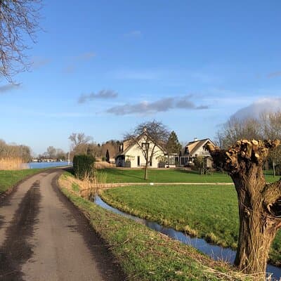 Cheese Clogs Windmills & Countryside Private Tour in Jaguar 3