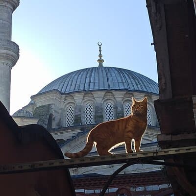 Photograph the Hidden Corners of the Grand Bazaar in Istanbul 2