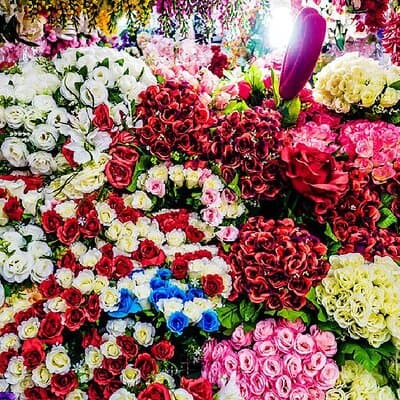 Bangkok Best Canal Tour : Wat Paknam, Artist's House & Flower Art 5
