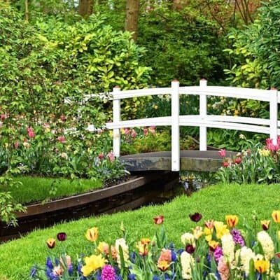 Amsterdam Private Sightseeing Tour to the Keukenhof 4