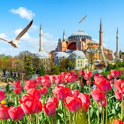8 Days Turkey Tour Istanbul Cappadocia Ephesus Pamukkale by Anker 4