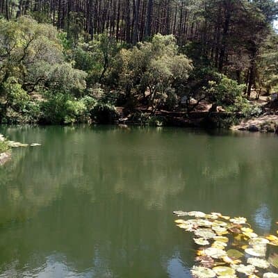 Private Tour Sintra-Queluz-Cabo da Roca-Cascais and Portuguese Riviera from Lisbon 5