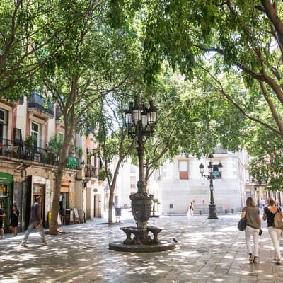 Barcelona Food Markets Private Tour with Tastings 5