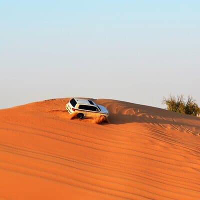 Dubai Evening Desert Safari with RedDune, sandboarding, live show 4