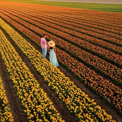 Keukenhof Tulip Garden Tour 4
