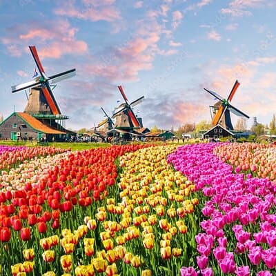 Private Countryside Tour From Amsterdam