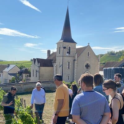 Private Sancerre vineyards & cellars tour from Paris + Sommelier 3