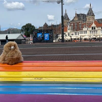 Zaanse Schans Edam Volendam Private Day Tour from Amsterdam 2