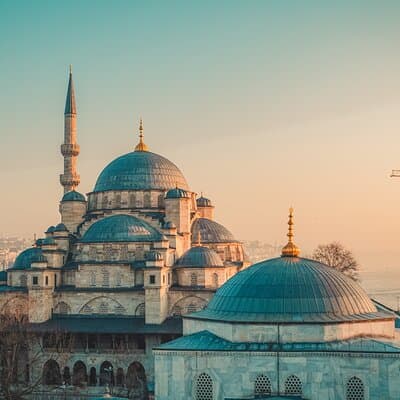 Private Istanbul Tour: Explore the City's Classics with a Guide 2