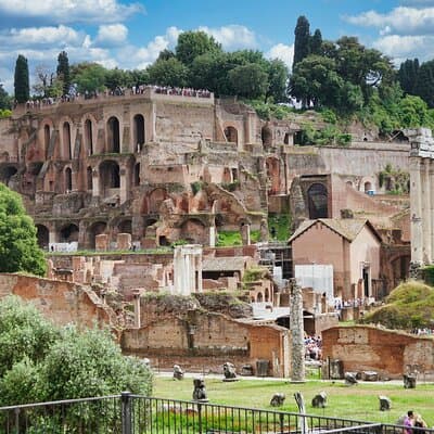 Colosseum Underground Tour and Access to Forum and Palatine Hill 5
