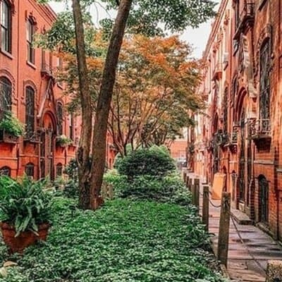 New York City Soho, Little Italy, Chinatown Private Walking Tour