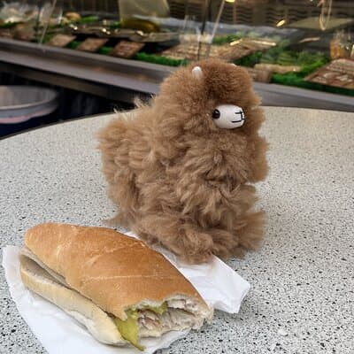 Zaanse Schans Edam Volendam Private Day Tour from Amsterdam 4