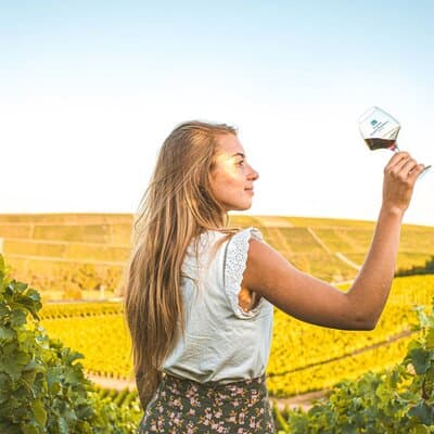 Sancerre Private Wine Day from Paris with 10 Tastings & Lunch