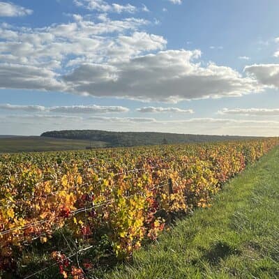 Sancerre Private Wine Day from Paris with 10 Tastings & Lunch 4