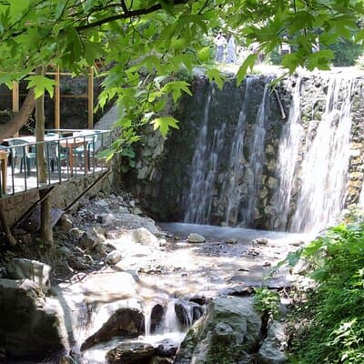 Private Tour of 2 Days 1 Night at Sapanca Lake to Abant 5