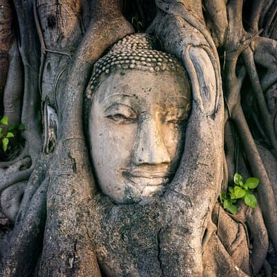 Private Ayutthaya Temples Tour - One day trip