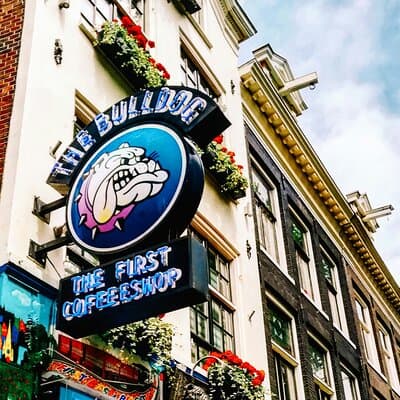 Red Light District Tour - It's History & It's Future 5