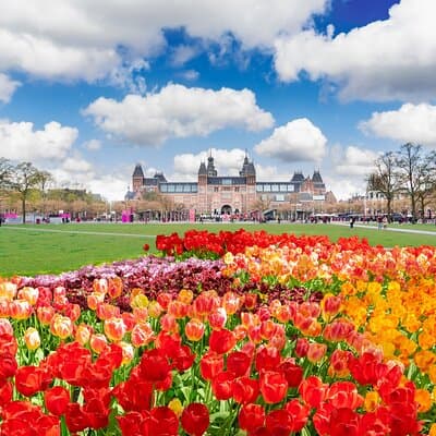 Private Tour Van Gogh & Rijksmuseum