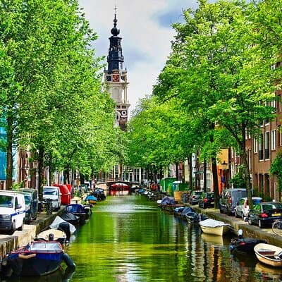 Tour with official guide in Amsterdam 5