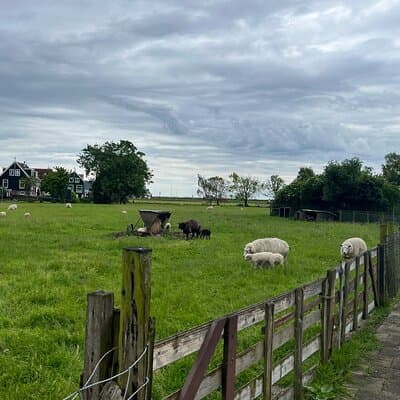 Private half day tour from Amsterdam to Edam Volendam and Marken 3