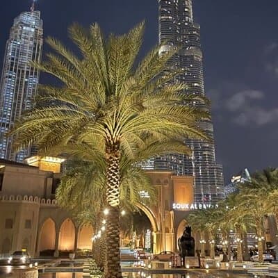 Private Dubai At Night Layover City Tour with Guide 3