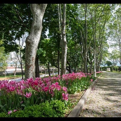 Istanbul Essentials For First Timers 4