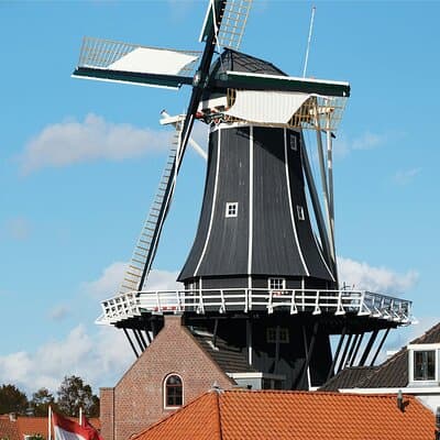 Haarlem Private Day Trip from Amsterdam with Local 3