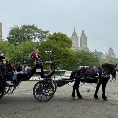NYC Empire State Horses Carriage Ride in Central Park(55 Mins)