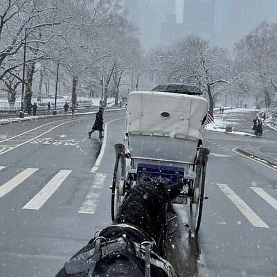 NYC Empire State Horses Carriage Ride in Central Park(55 Mins) 2