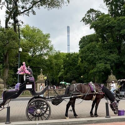 NYC Empire State Horses Carriage Ride in Central Park(55 Mins) 5