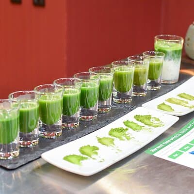 Matcha Making Experience and Matcha Comparison in Tokyo